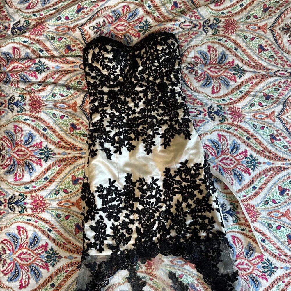 Black and cream elegant lace dress